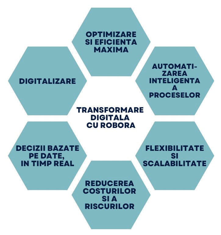 transformare digitala 2